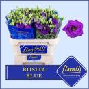 Lysianthus, blau -1 Stiel